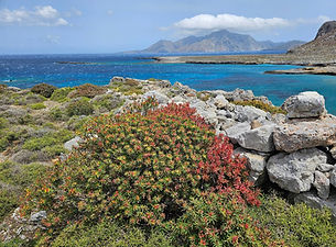 499700993_1211884667398556_1330569673564159206_n (2).jpg