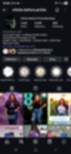 Instagram profile of Chicks Before Pricks boutique, highlighting past social media content and branding