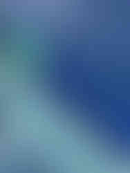 Lichtgevende Gevelletters voor Industrieel Bedrijfspand