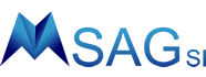 MSAGSI logo.png