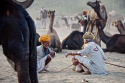 DSC_0331 - Version 4