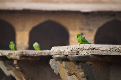 DSC_0481 - Version 3