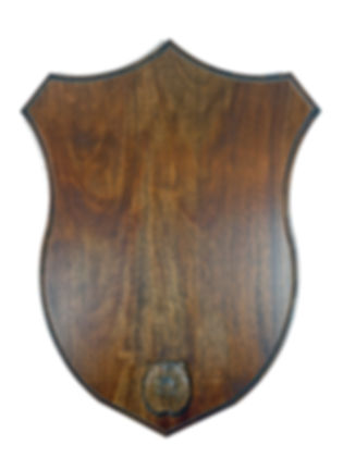 Shoulder Mount / Game Head Wall Panel Shield
