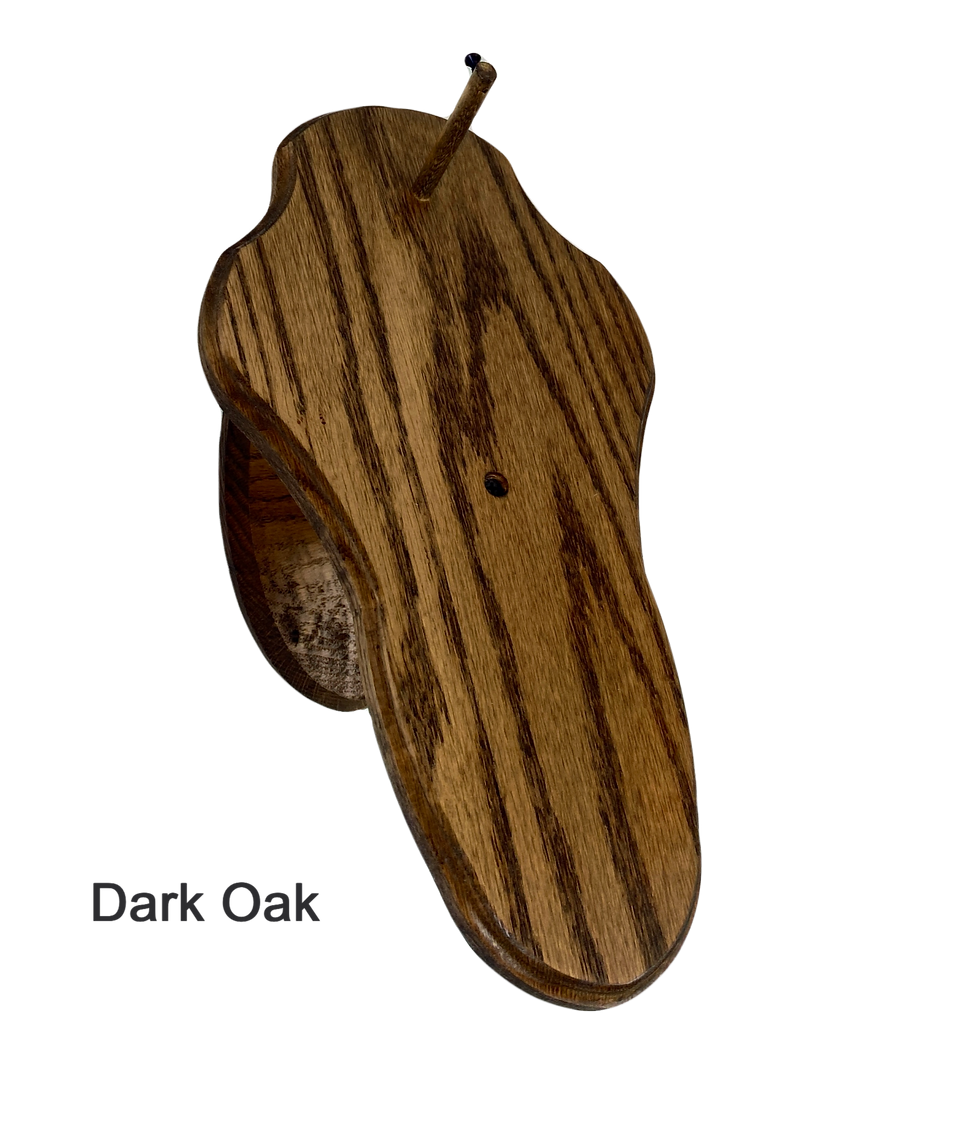 Thumbnail: Skull Shaped European Mount Deer Skull Display