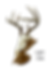 Thumbnail: Modern Arrowhead Shaped European Mount Deer Skull Display