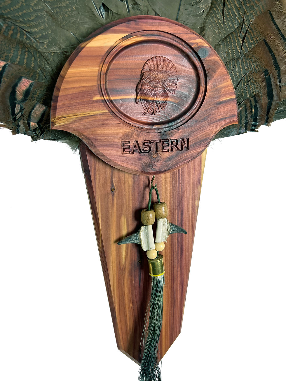 Thumbnail: Aromatic Cedar Turkey Tail Mounting Kit w/ Beard and Spur Display -Personalized