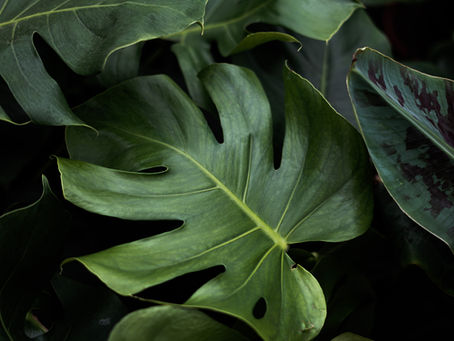 Healing Is Not Perfection