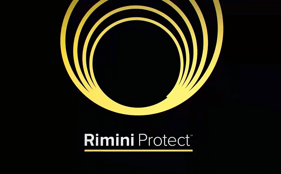 Rimini Protect opener.png