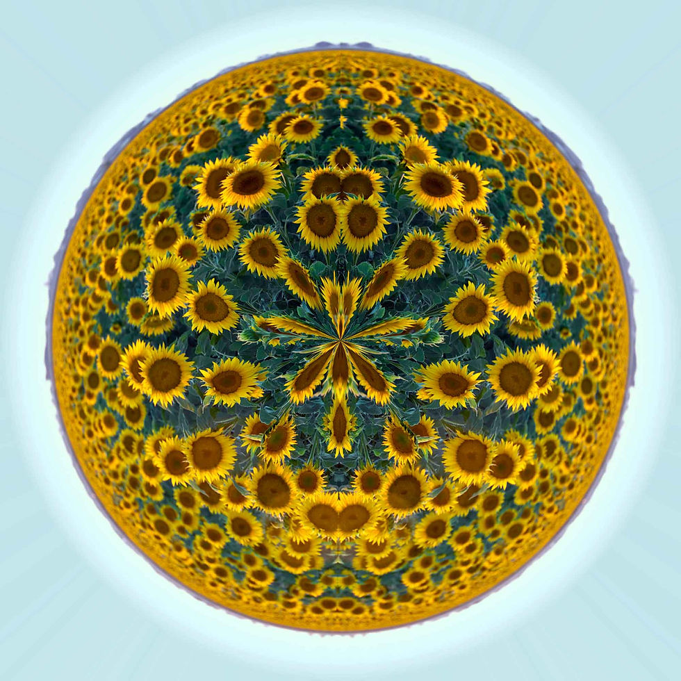 Tiny Planet Yellow