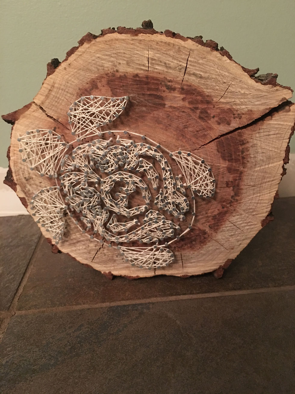 Patterned Turtle