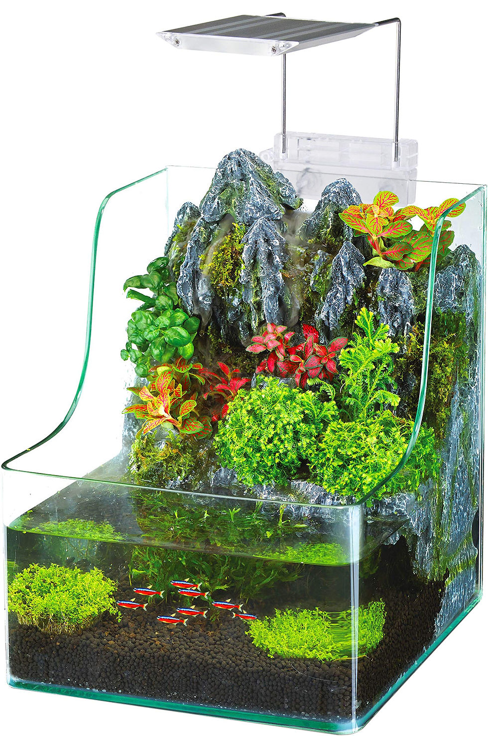 Aqua Terrarium