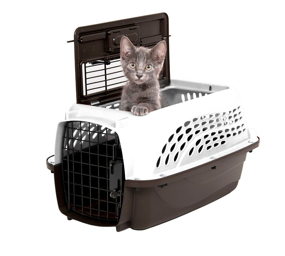 Aspen 10lb Crate