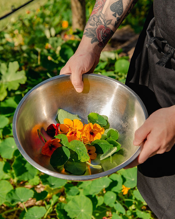 STR_ChefGarden_1.jpg