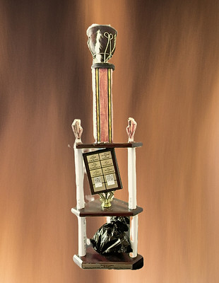 Screen Shot 2024-05-14 at 12_edited_edit