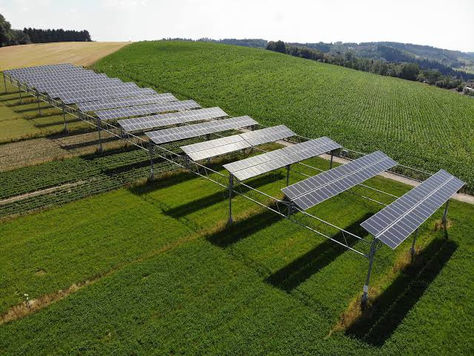 Agrophotovoltaics