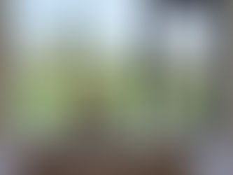 5 НОВОГОДНИХ ОБЕЩАНИЙ НА 2022 ГОД