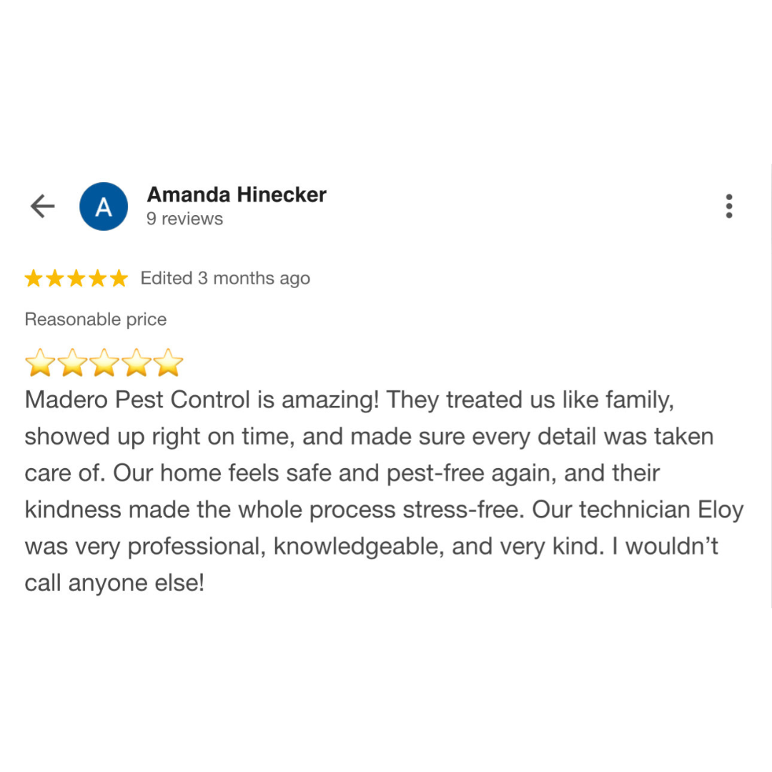 Untitled design - 2025-12-03T212229.258.png