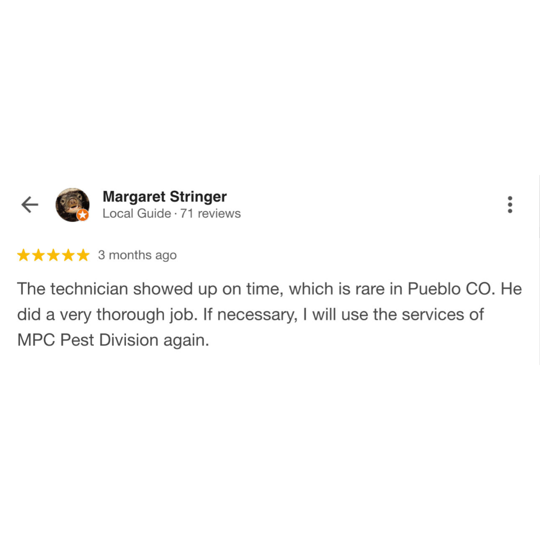 Untitled design - 2025-12-03T212211.034.png