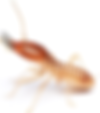 image_2024-09-10_203957986.png