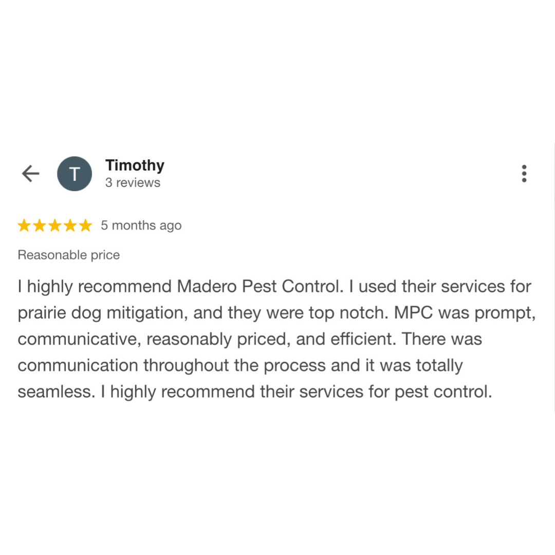 Untitled design - 2025-12-03T212055.931.png