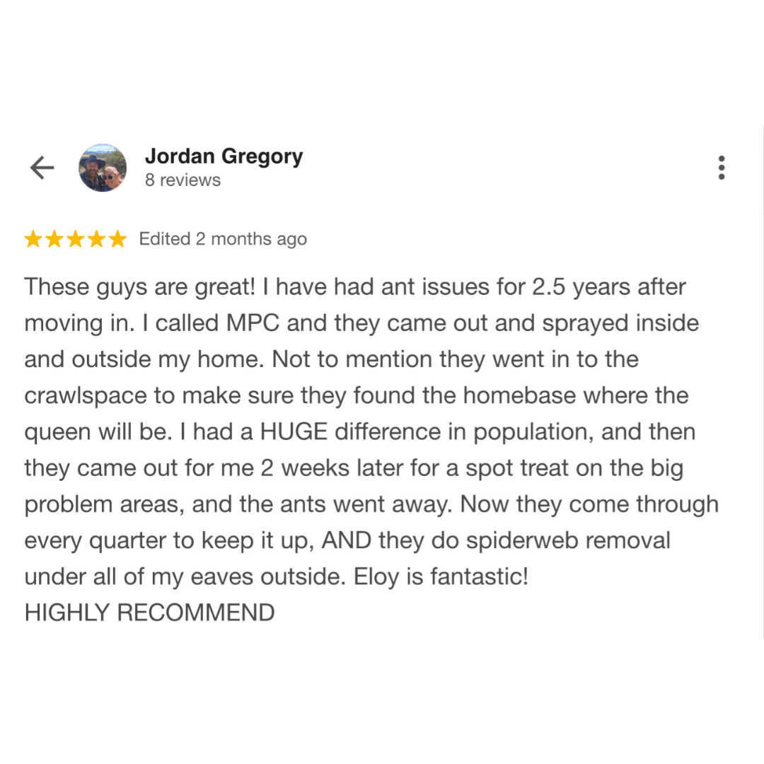 Untitled design - 2025-12-03T212337.413.png