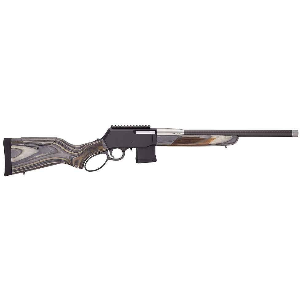 Thumbnail: HENRY PREDATOR 223