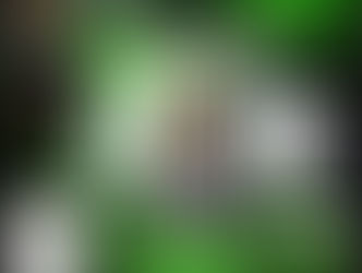 Sunday Night Worship Experience May 2003