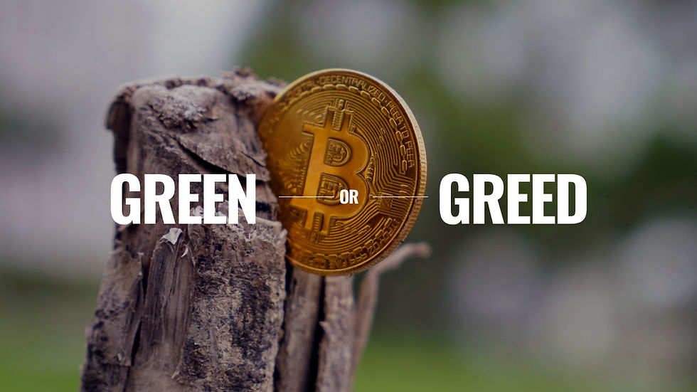Green or Greed? The Environmental Cost of Blockchain