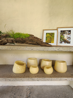 Diseño Interior  para Piedra Selva en San Rafael Antioquia 