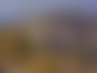 Temple of Apollo Epicurius in Bassae