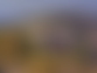 Temple of Apollo Epicurius in Bassae