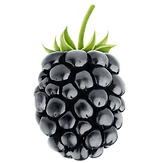 blackberry