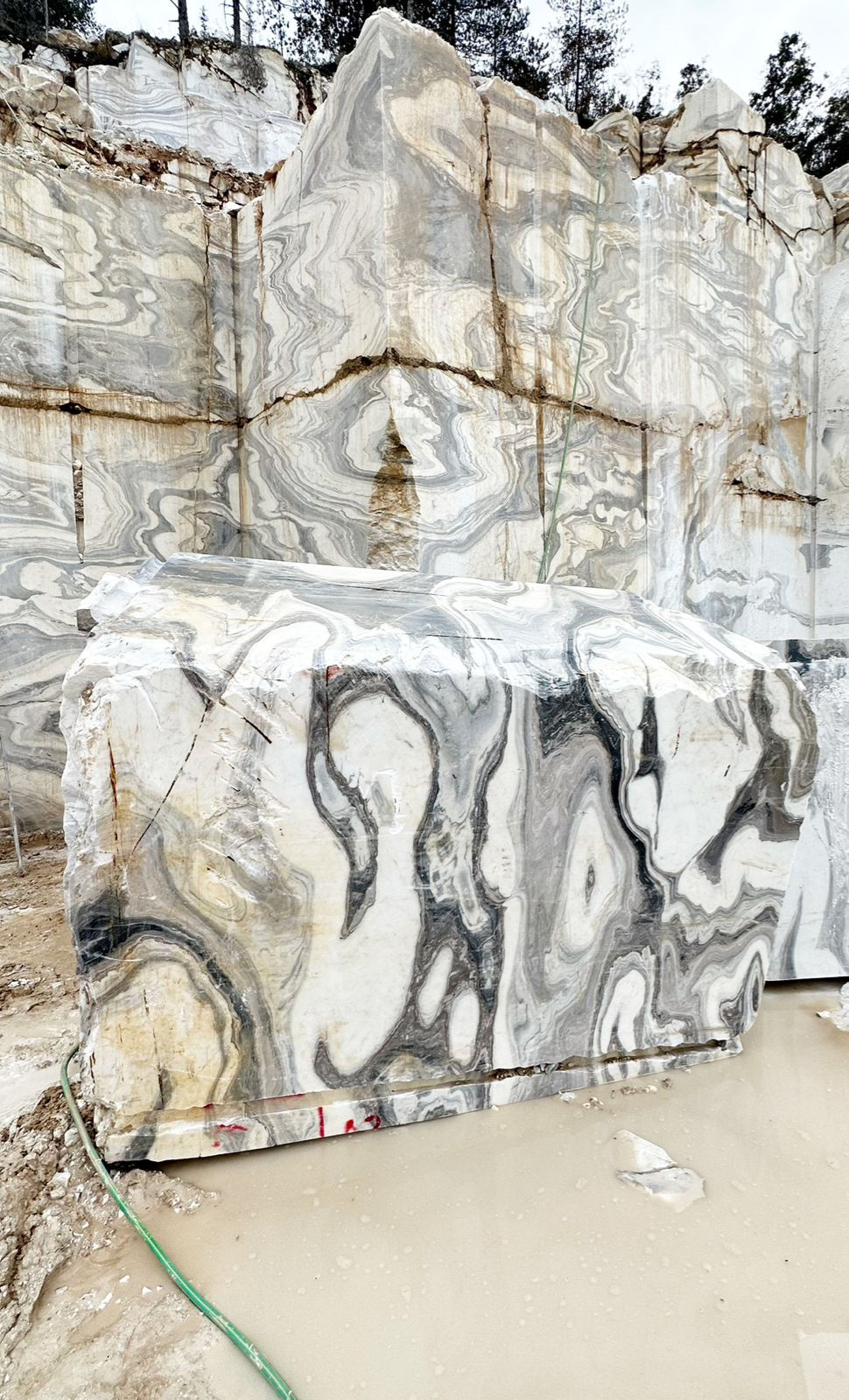 Mediterranean Oyster Marble