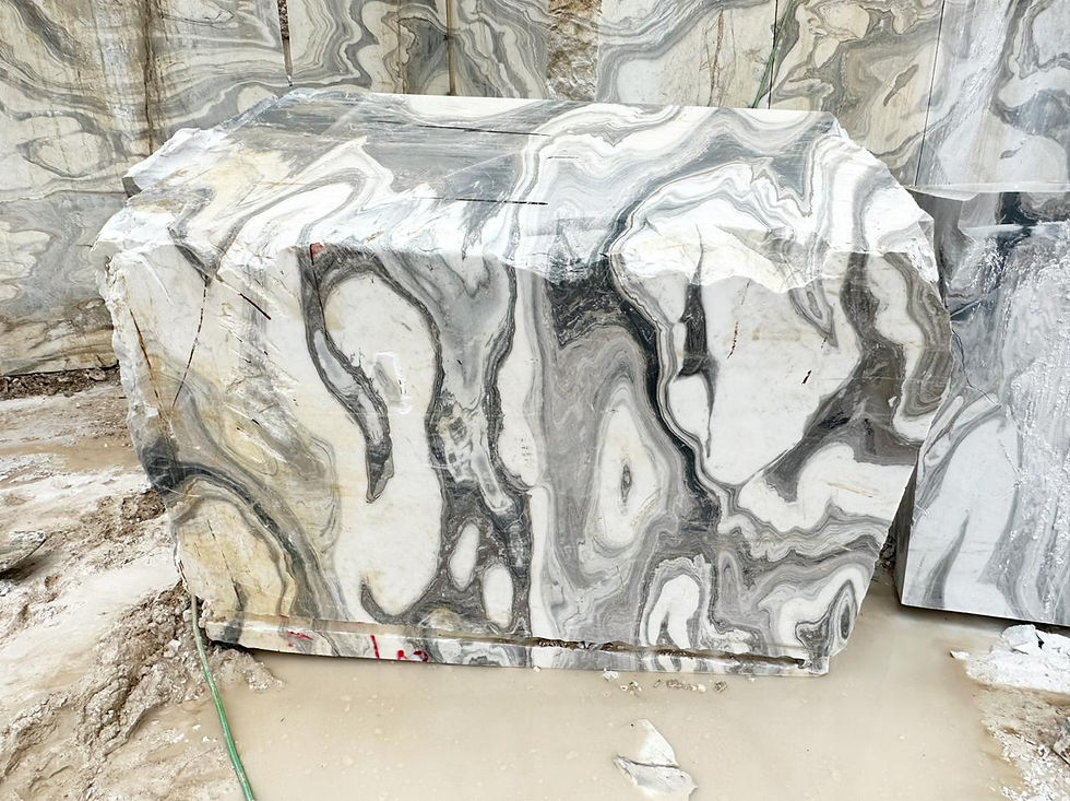 Thumbnail: Mediterranean Oyster Marble