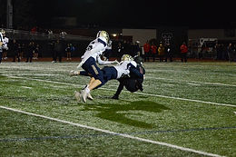 image_123986672 (6).JPG