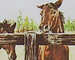 Thumbnail: "Born to Pace"