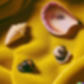 DALL·E 2023-01-29 18.35.17 - cowry shells on yellow velvet cloth, digital art.png