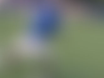 High-Octane Hawks Cruise In Home Opener