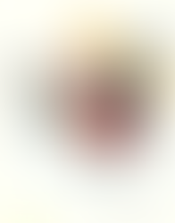 Bert Raccoon playing hockey