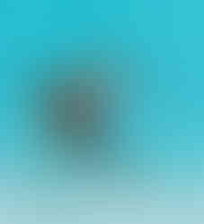 Lisa Raccoon running in a relay race