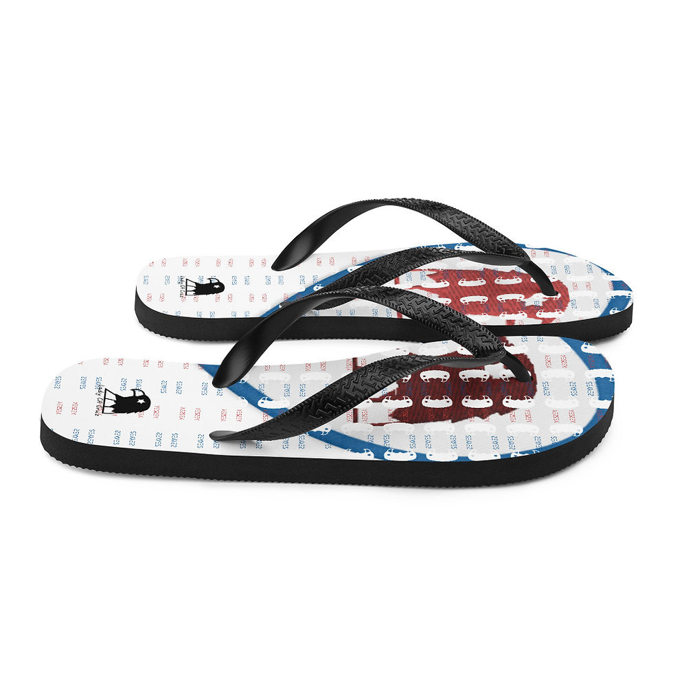 Thumbnail: Flip-Flops