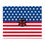 Thumbnail: Throw Blanket with USA flag and lady bug in the bottom corner designed by Lady