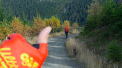 Koloběžka Kickbike FAT MAX