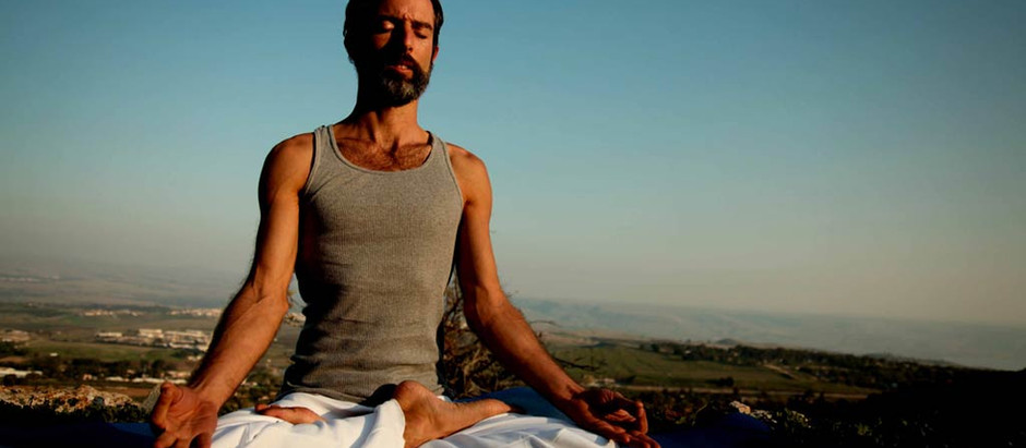 Zen Zihni, Başlangıç Zihni ve Meditasyon