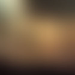 Civilizational Petrification: from Cuba to Gaza