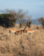 Mara content -7894.jpg