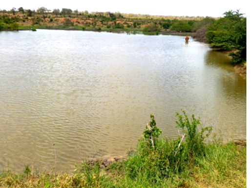 From 5.5 to 1,000+ Acres: How Farmers Are Scaling Change While Protecting the Mwache Dam