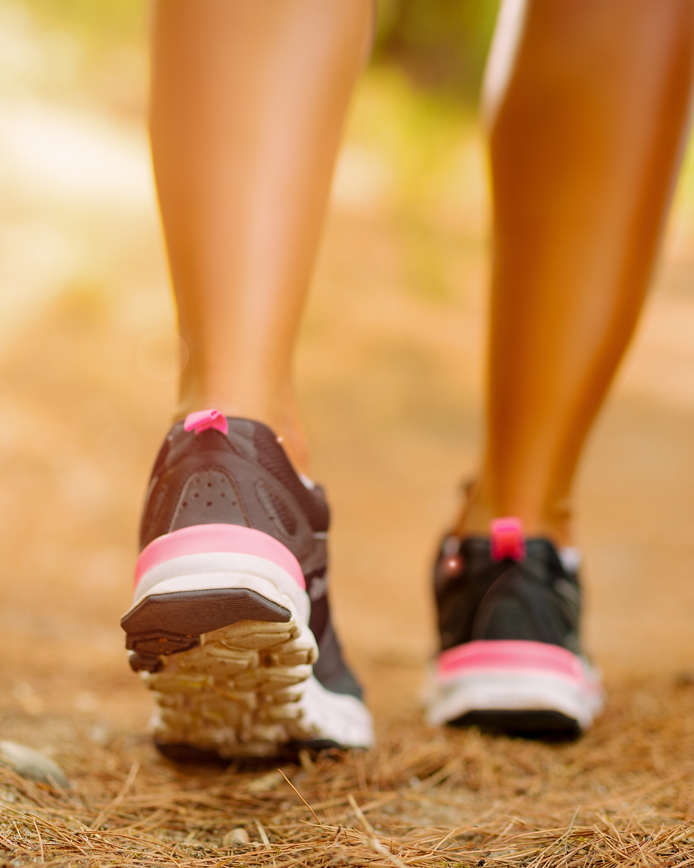 The Manor Web (7).png