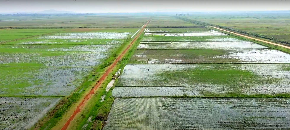 Lower Nzoia Farms