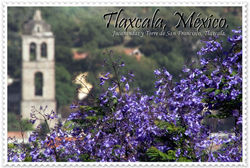 ex_convento_jacarandas